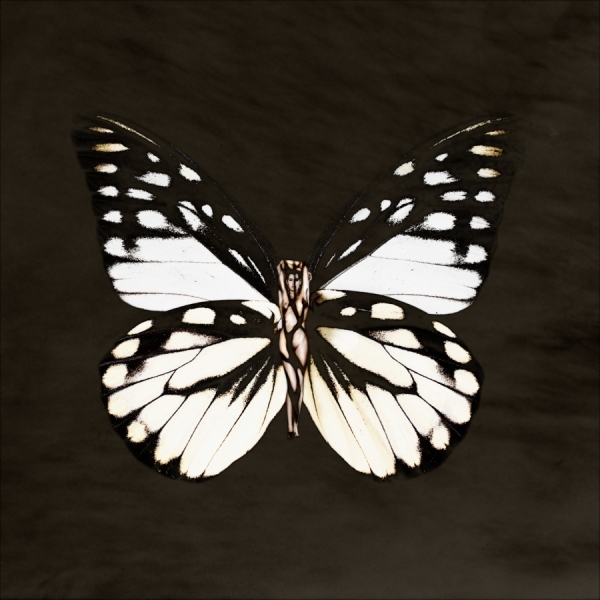Photograph Carsten Witte Butterfly 2 on One Eyeland